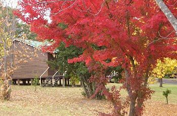 Madison'S Mountain Retreat Bilpin Exterior foto